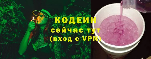 СК Няндома
