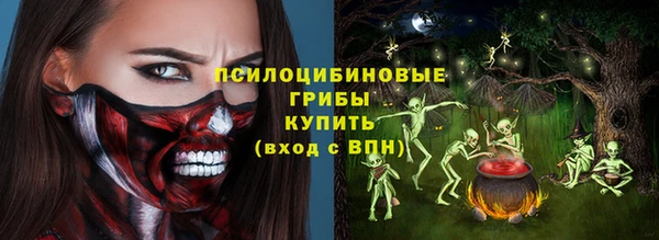 ECSTASY Осинники