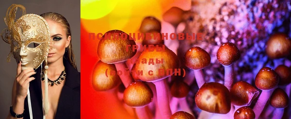 ECSTASY Осинники