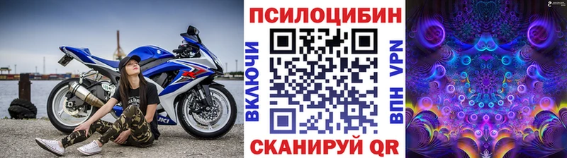 купить наркотик  Мирный  Псилоцибиновые грибы прущие грибы 