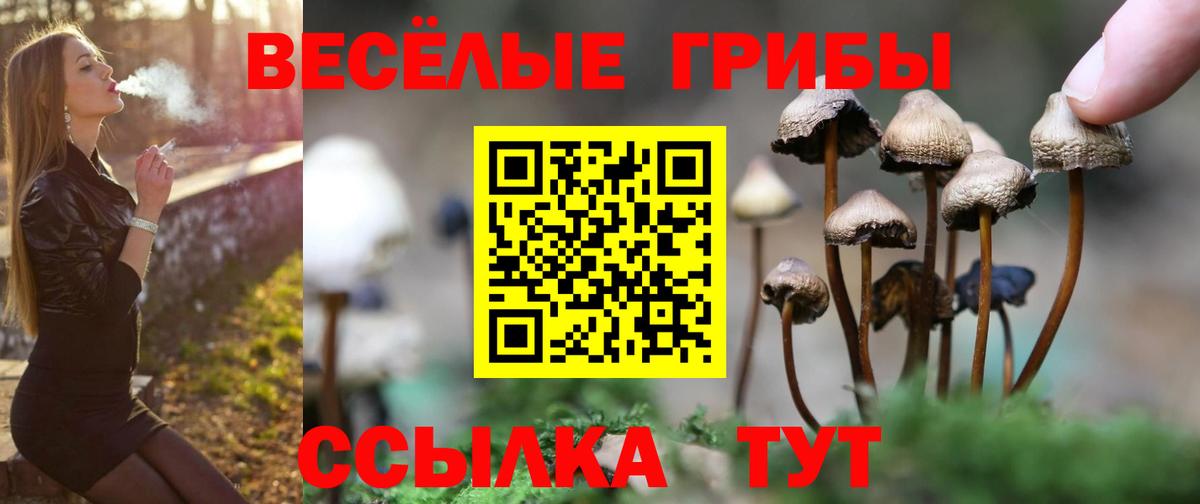 Псилоцибиновые грибы MAGIC MUSHROOMS Мирный